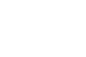 Priis White Logo