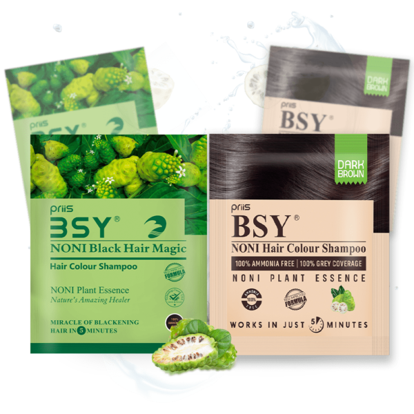 BSY Hair Color shampoo Black and Brown product image