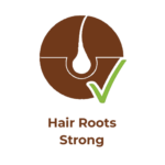 hair root strong
